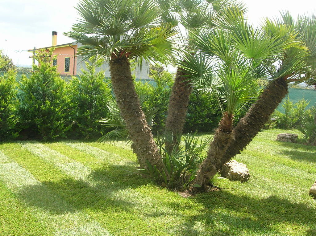B&B S'Ena Suni Buitenkant foto