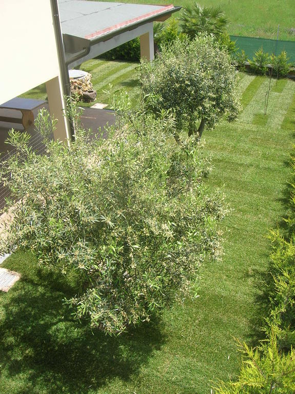 B&B S'Ena Suni Buitenkant foto